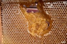 184941_8.jpg  : 111 KB