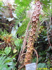 184943_1.jpg  : 109 KB