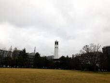 184952_3.jpg  : 77 KB