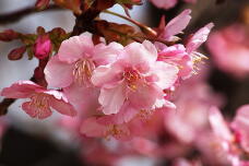 184957_2.jpg  : 119 KB