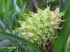 184961_2.jpg  : 53 KB