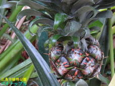 184961_3.jpg  : 64 KB