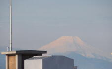 184971_1.jpg  : 21 KB