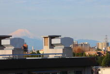 184971_2.jpg  : 41 KB