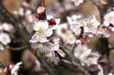 184973_2.jpg  : 89 KB