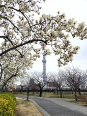 185001_1.jpg  : 362 KB