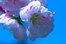 185003_3.jpg  : 75 KB