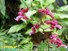 185012_1.jpg  : 57 KB