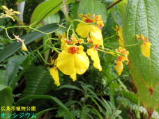 185012_2.jpg  : 64 KB