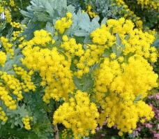 185031_2.jpg  : 90 KB