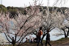 185035_1.jpg  : 175 KB