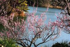 185035_2.jpg  : 188 KB