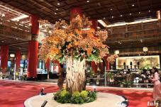 185038_3.jpg  : 109 KB