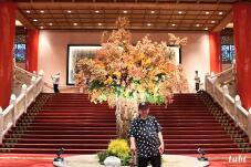 185038_4.jpg  : 95 KB