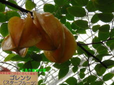 185039_1.jpg  : 57 KB