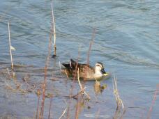 185046_2.jpg  : 154 KB