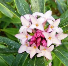 185061_1.jpg  : 46 KB