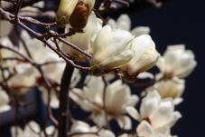 185065_1.jpg  : 88 KB