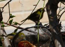 185065_2.jpg  : 88 KB