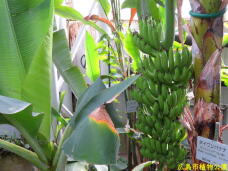 185076_3.jpg  : 68 KB