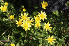 185080_1.jpg  : 99 KB