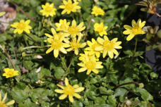 185080_2.jpg  : 101 KB