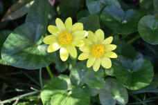 185080_3.jpg  : 61 KB