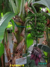 185090_3.jpg  : 63 KB