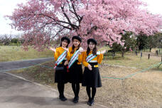 185098_1.jpg  : 137 KB