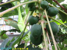 185108_1.jpg  : 61 KB