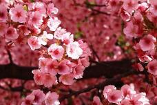 185112_2.jpg  : 121 KB