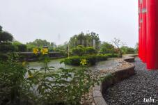 185114_5.jpg  : 62 KB