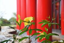 185114_6.jpg  : 48 KB