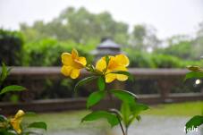 185114_7.jpg  : 34 KB