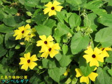 185116_2.jpg  : 68 KB