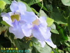 185116_3.jpg  : 46 KB