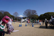 185119_1.jpg  : 223 KB