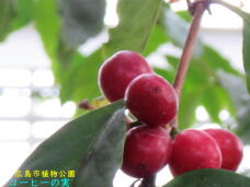 185146_3.jpg  : 32 KB