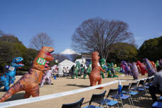 185149_1.jpg  : 233 KB