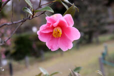 185151_1.jpg  : 45 KB