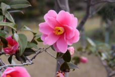 185151_2.jpg  : 53 KB