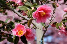 185151_3.jpg  : 75 KB