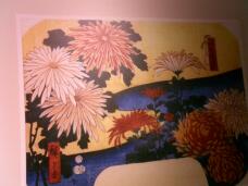 185155_1.jpg  : 116 KB