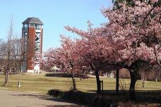 185156_1.jpg  : 177 KB