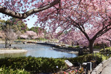 185163_1.jpg  : 171 KB