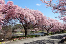 185163_2.jpg  : 155 KB