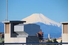 185169_1.jpg  : 85 KB