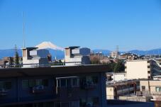 185169_2.jpg  : 87 KB