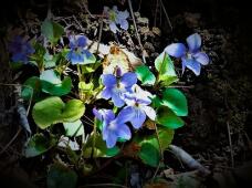 185177_1.jpg  : 83 KB