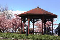 185185_1.jpg  : 185 KB